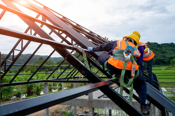 Best Residential Roof Replacement  in Bemidji, MN