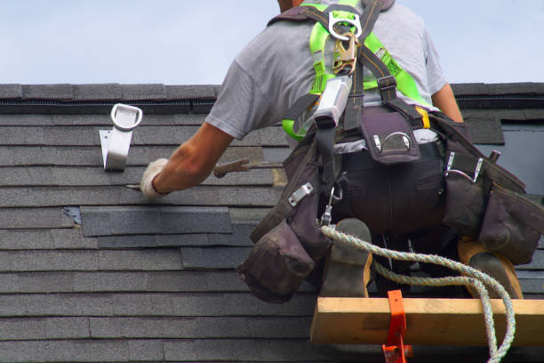 Best Roof Repair Services  in Bemidji, MN