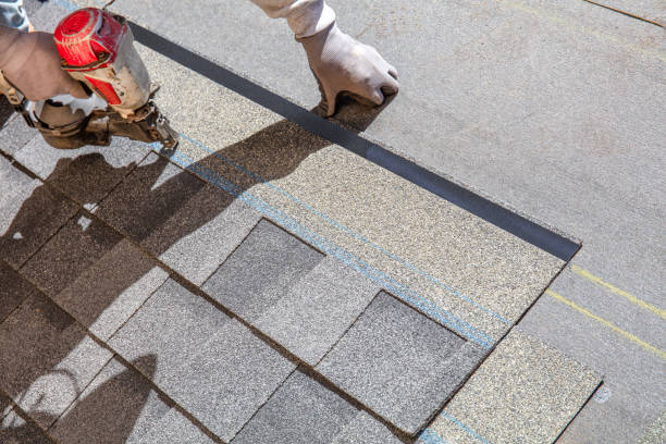 Best Roof Maintenance Services  in Bemidji, MN